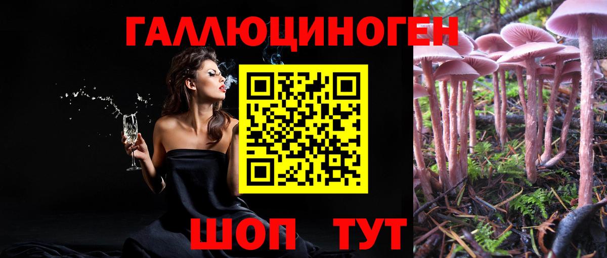 Псилоцибиновые грибы GOLDEN TEACHER Шебекино